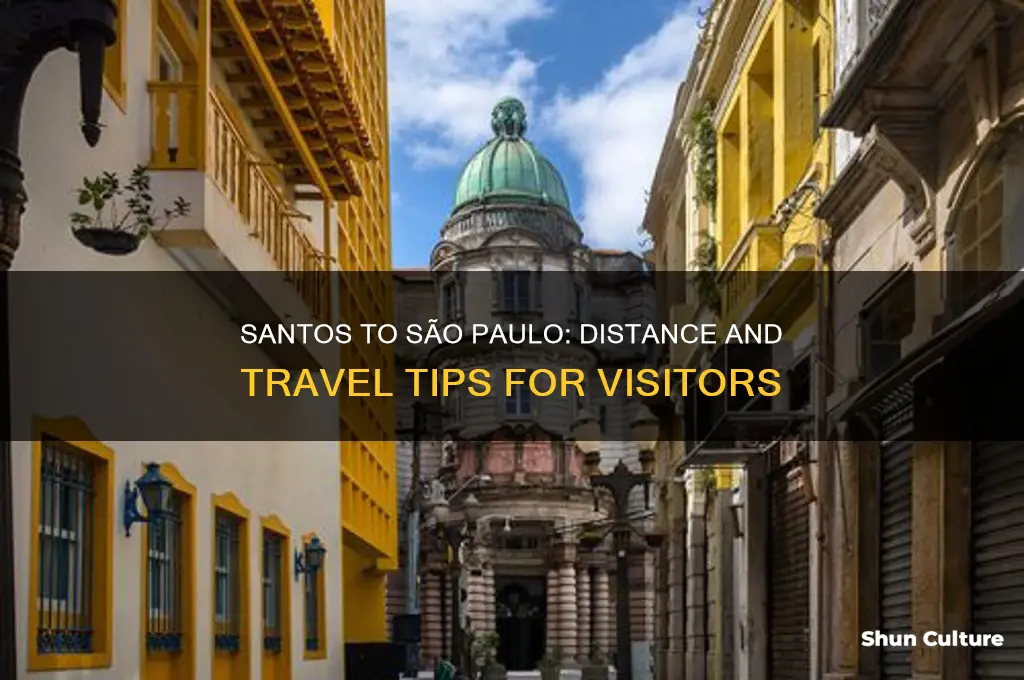 how far is santos brazil from sao paulo