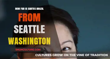 Santos, Brazil to Seattle, Washington: Distance and Travel Insights