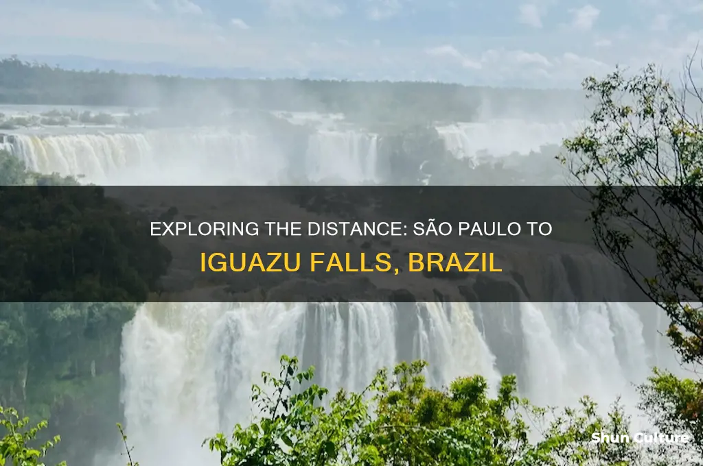 how far is sao paulo brazil from iguazu falls
