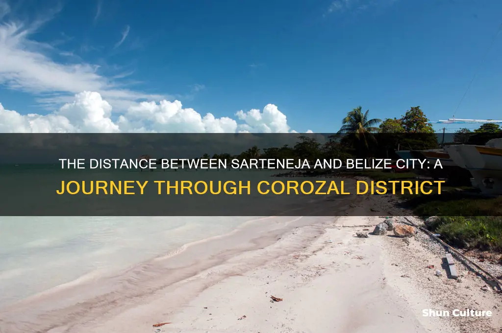 how far is sarteneja town corozal district to belize city