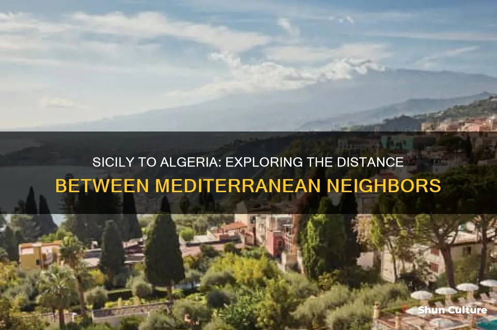 how far is sicily from algeria