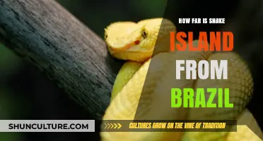 Snake Island's Distance from Brazil: A Surprising Geographic Insight