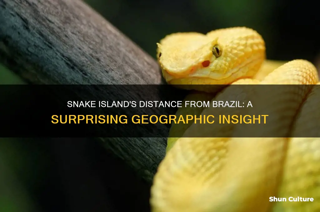 how far is snake island from brazil