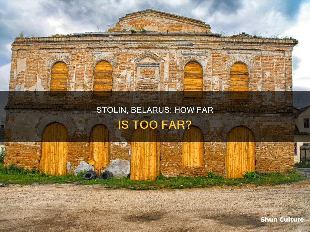 how far is stolin stolin belarus