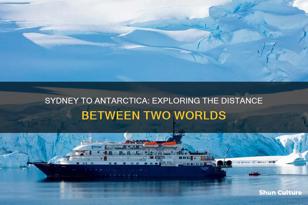 how far is sydney australia from antarctica