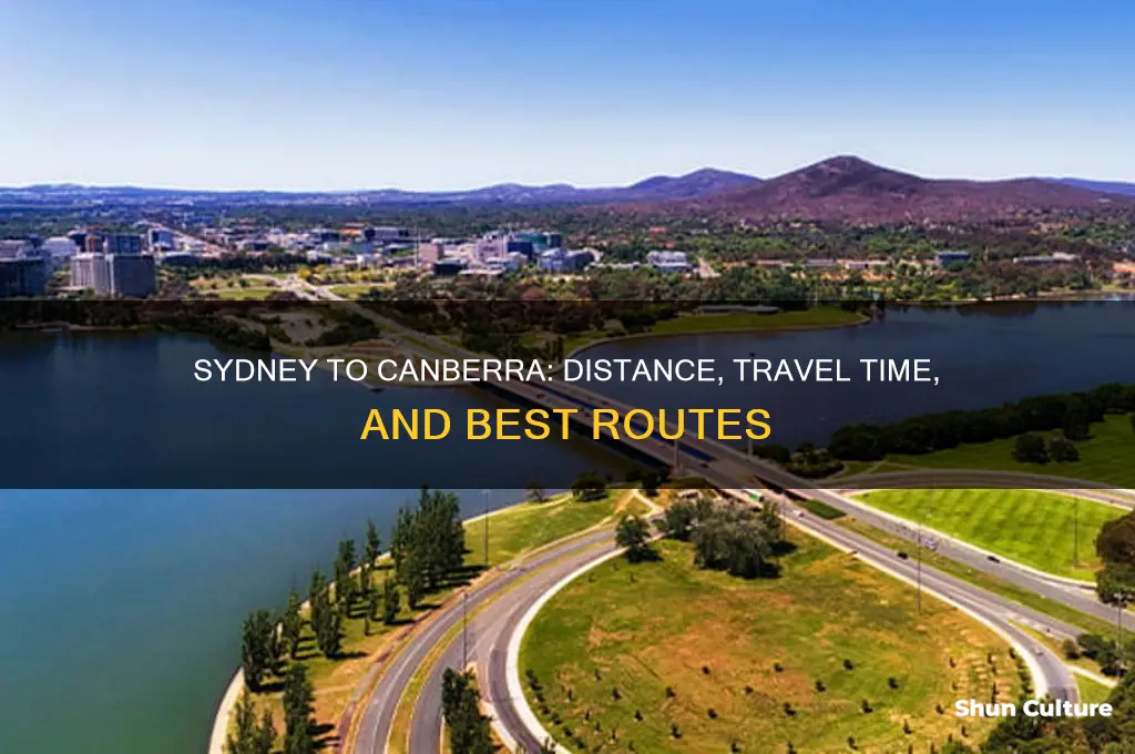 how far is sydney australia from canberra