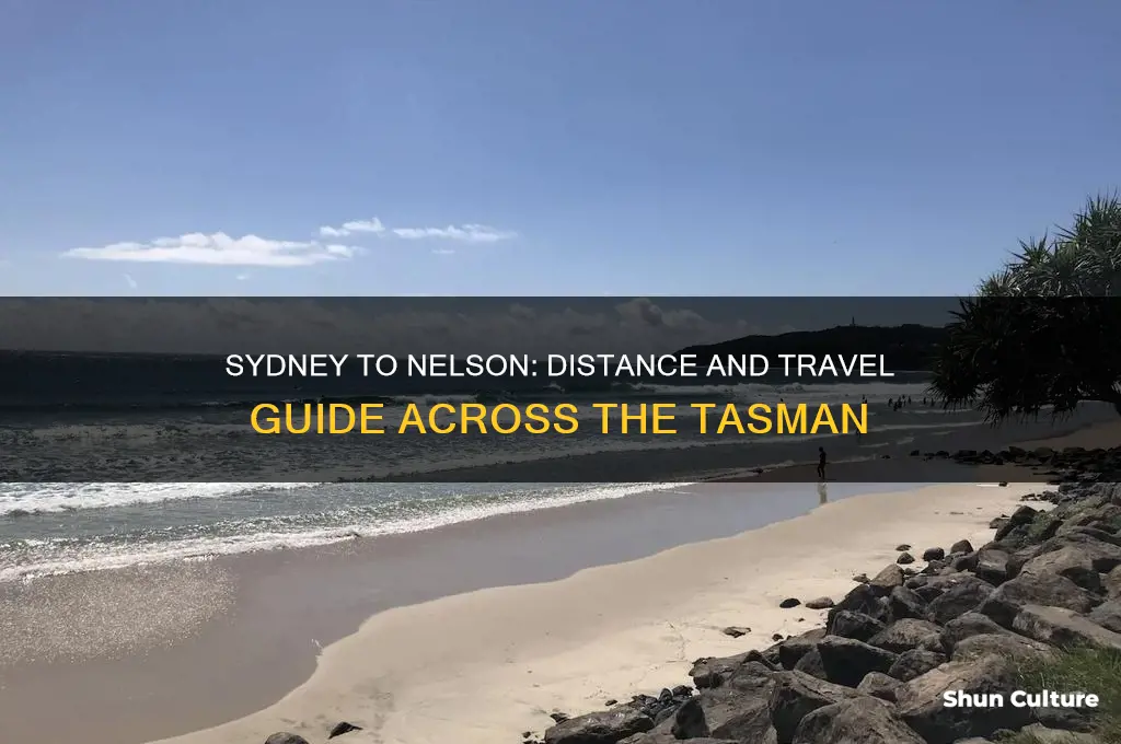 how far is sydney australia from nelson new zealand