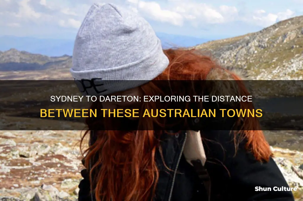 how far is sydney australia to dareton