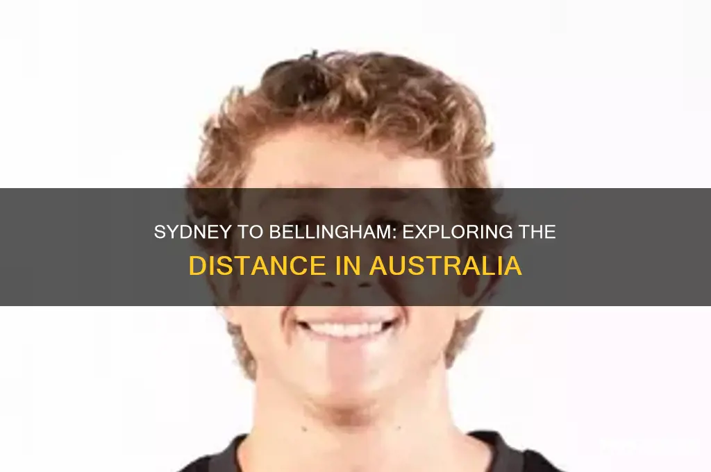 how far is sydney from bellingham australia