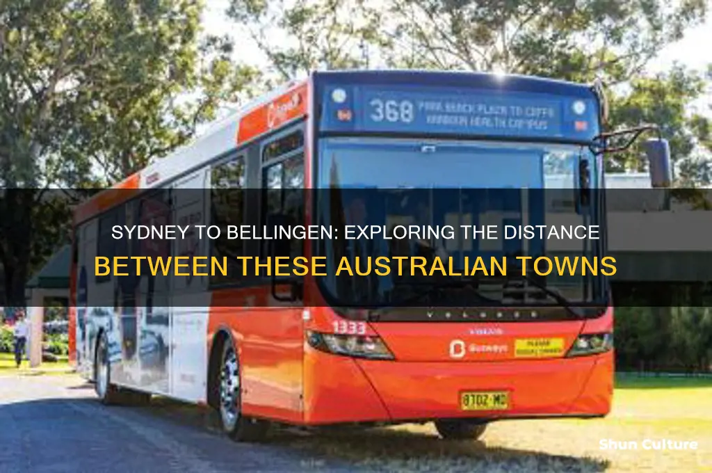 how far is sydney from bellington australia
