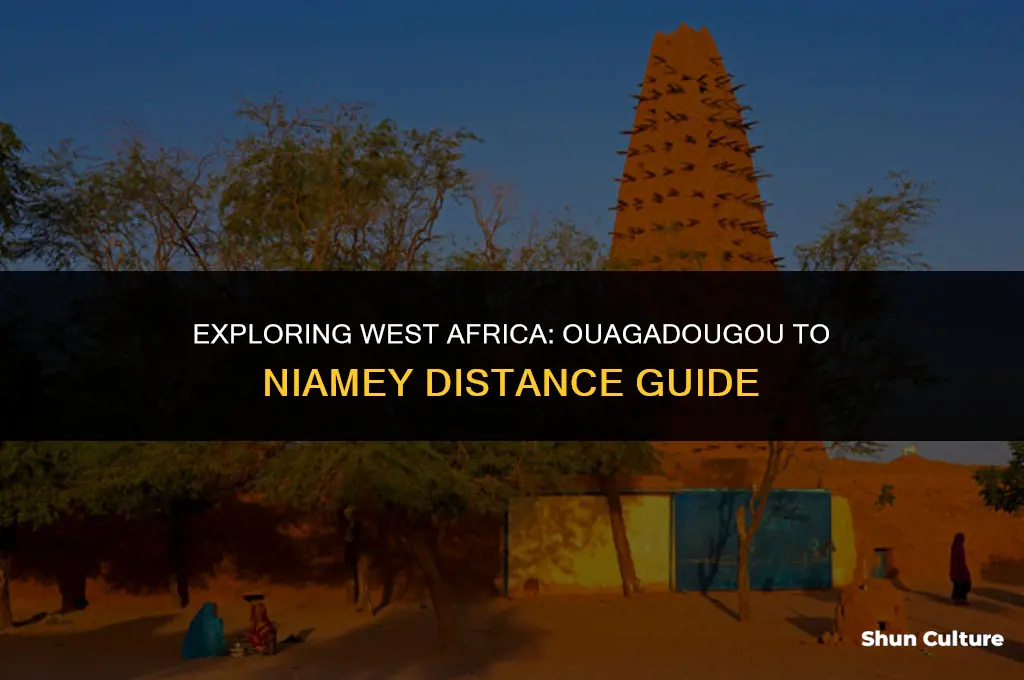 how far is the capital of burkina faso to niamey