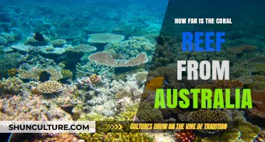 Australia's Coral Reef: How Far is it?