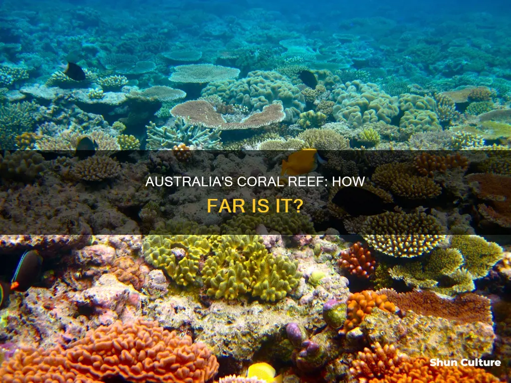 how far is the coral reef from australia