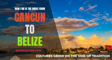 The Road Trip: Cancun to Belize Drive