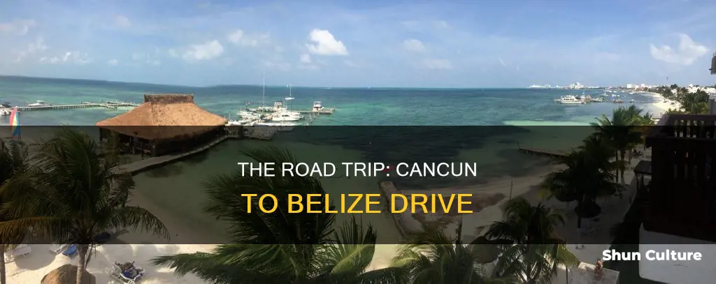 how far is the drive from cancun to belize