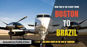 Boston to Brazil Flight Distance: How Far is the Journey?