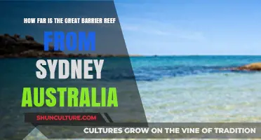 Exploring the Distance: Sydney to Great Barrier Reef Journey
