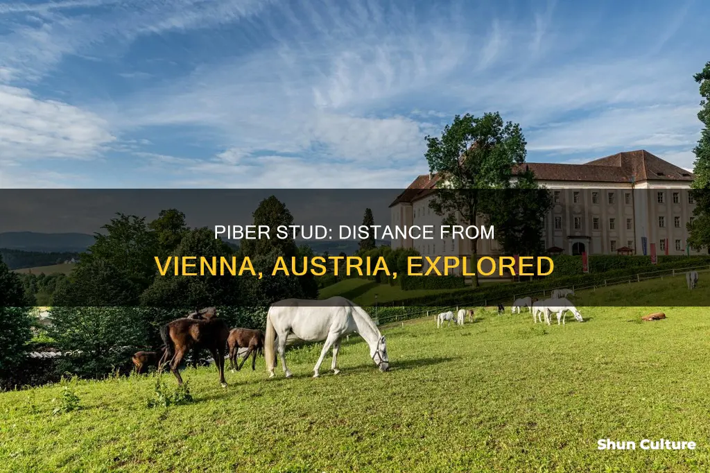 how far is the piber stud from vienna austria