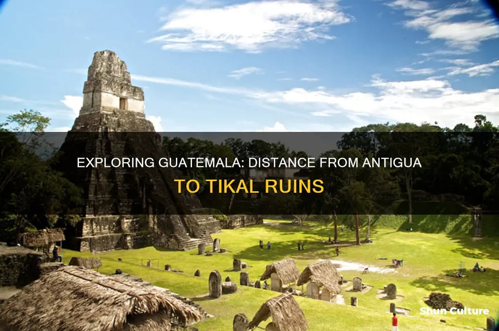 how far is tikal from antigua