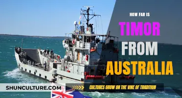 Timor and Australia: How Close Are They?