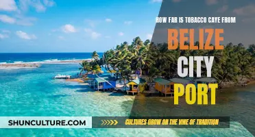 Tobacco Caye: A Tropical Escape Just Off the Coast of Belize City