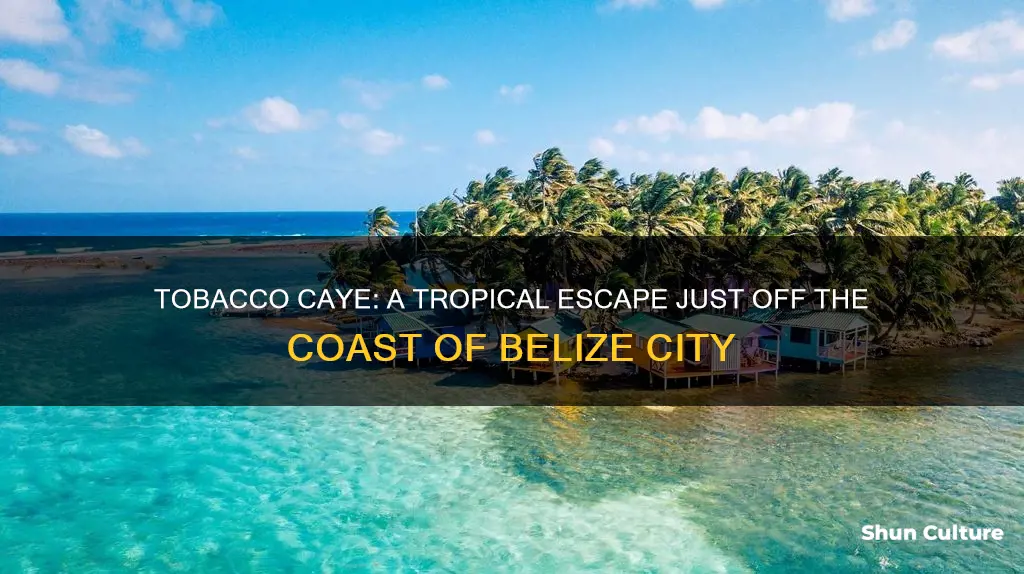 how far is tobacco caye from belize city port