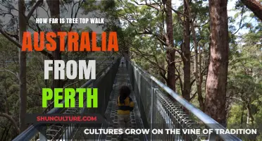 Exploring Tree Top Walk: A Short Trip from Perth