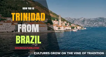 Trinidad to Brazil: Exploring the Distance Between Two Vibrant Cultures