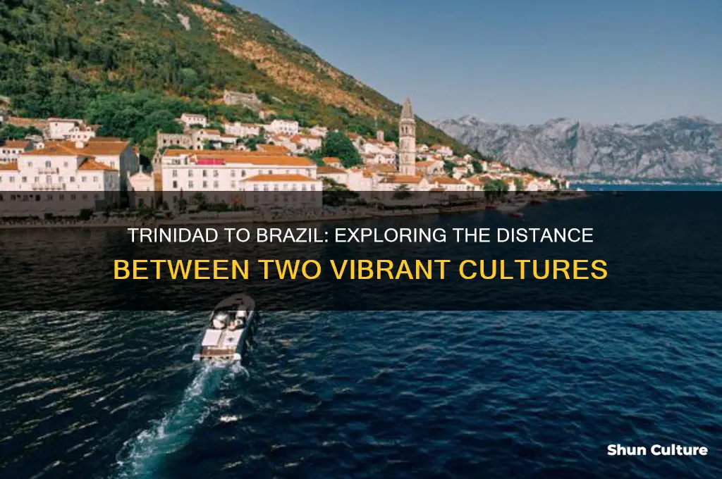 how far is trinidad from brazil