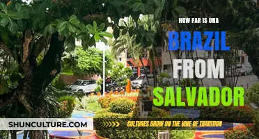 Una to Salvador: Distance and Travel Tips for Your Brazilian Journey