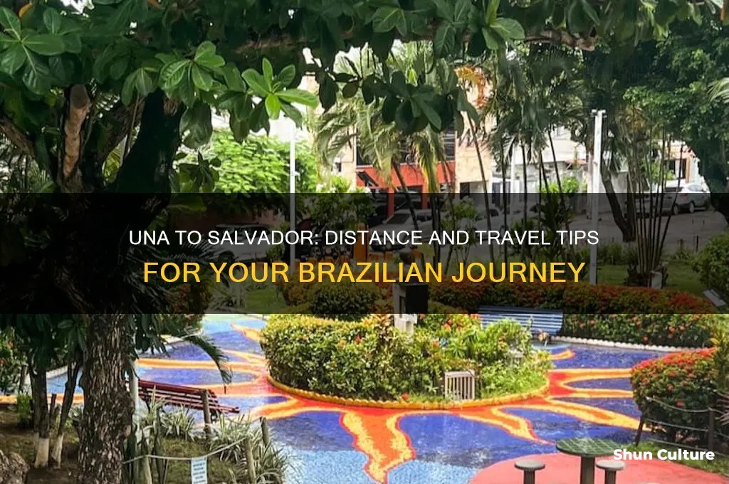 how far is una brazil from salvador