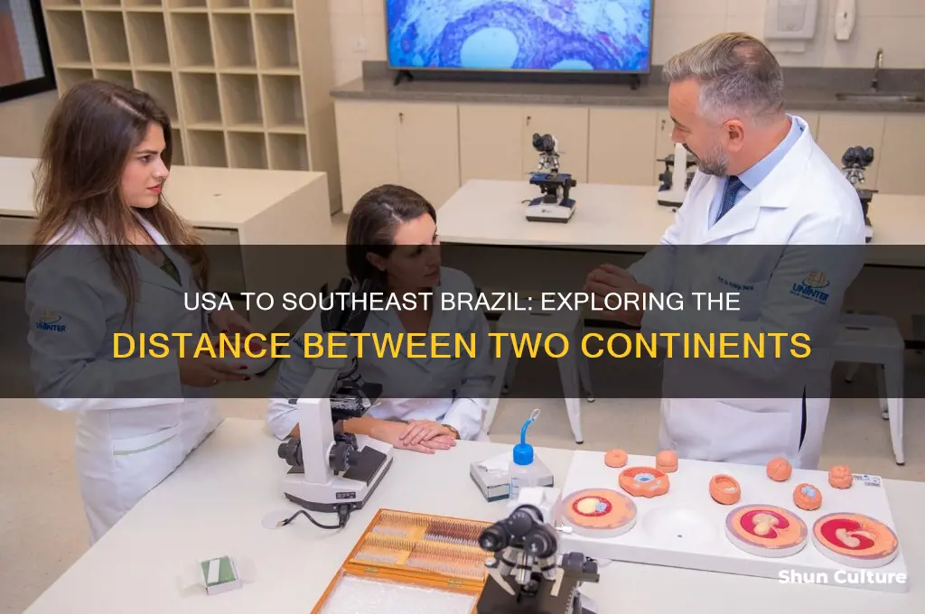 how far is usa from southeast brazil