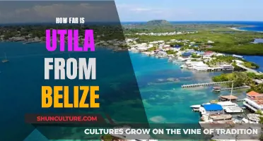 The Distance Between Utila and Belize: A Quick Guide