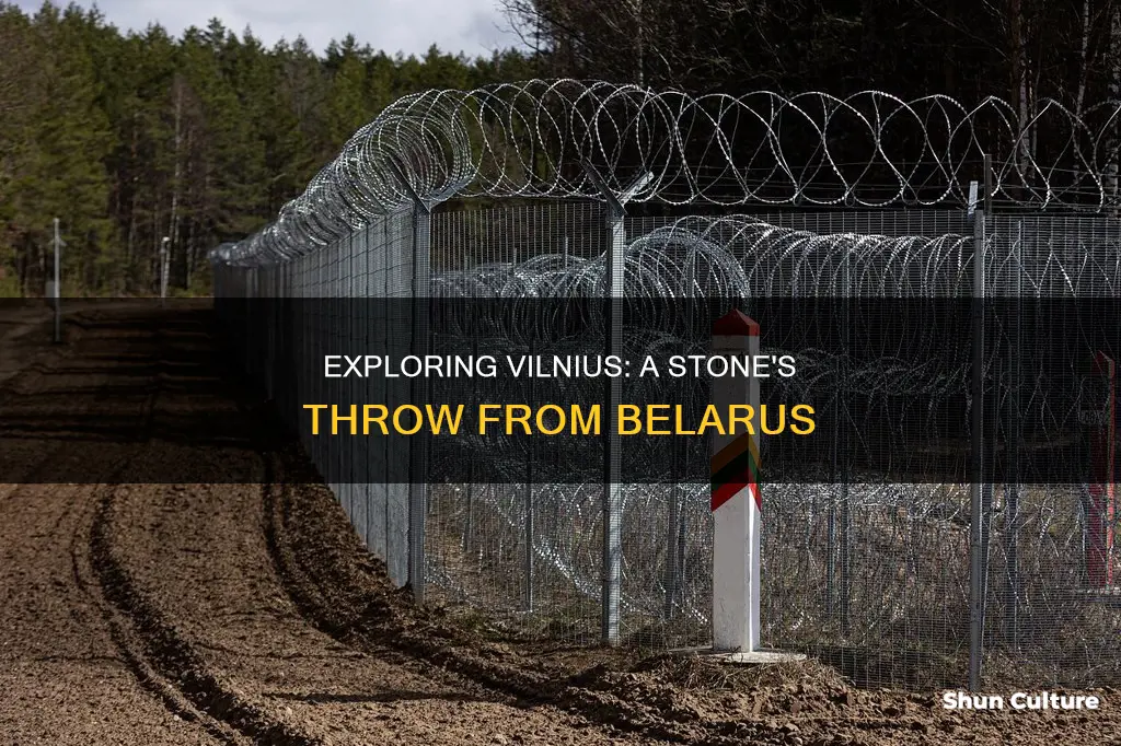 how far is vilnius from belarus border