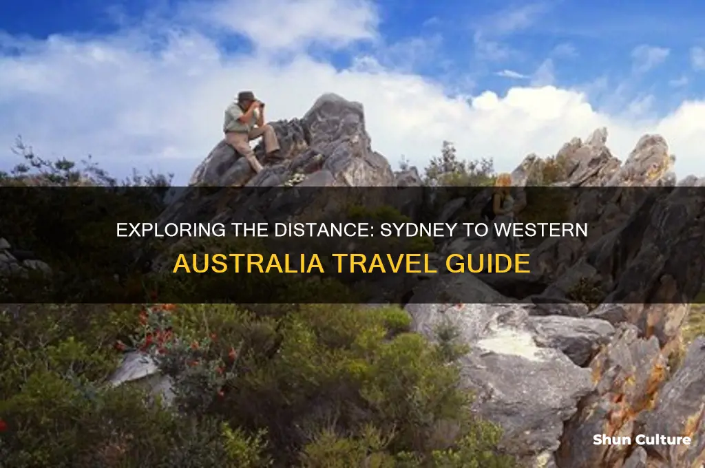 how far is western australia from sydney