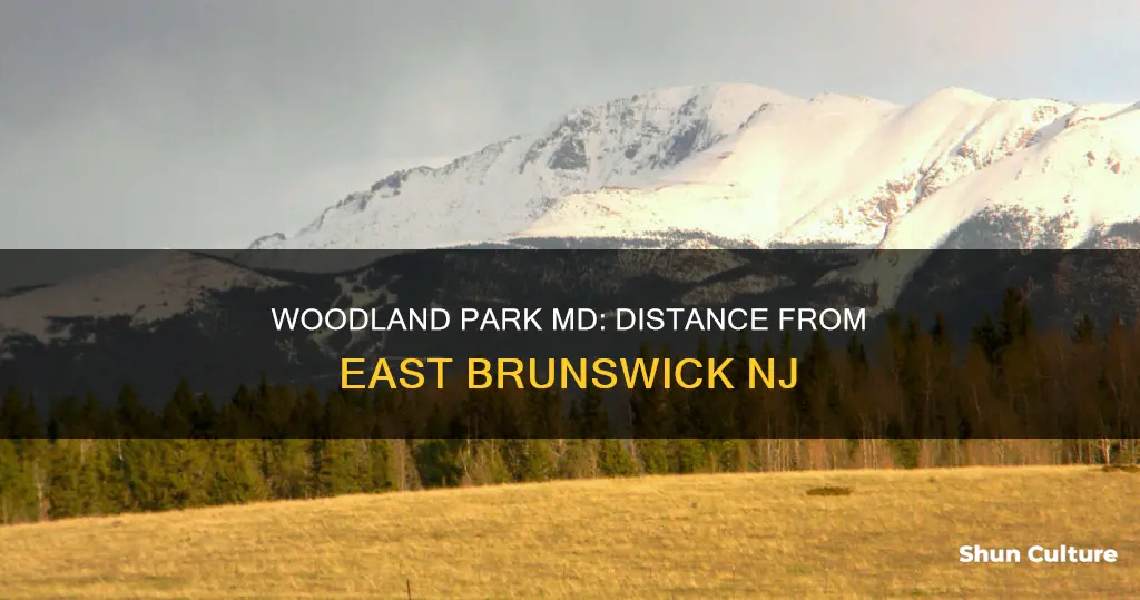 how far is woodland park md from east brunswick nj