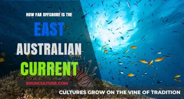 Exploring the East Australian Current's Offshore Reach