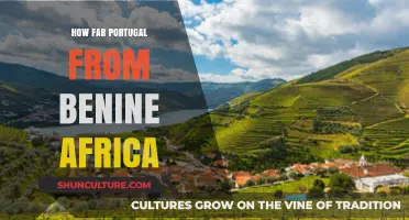 Exploring the Distance: Portugal to Benin, Africa - A Journey Unveiled