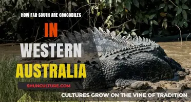 Where Crocodiles Lurk in Western Australia