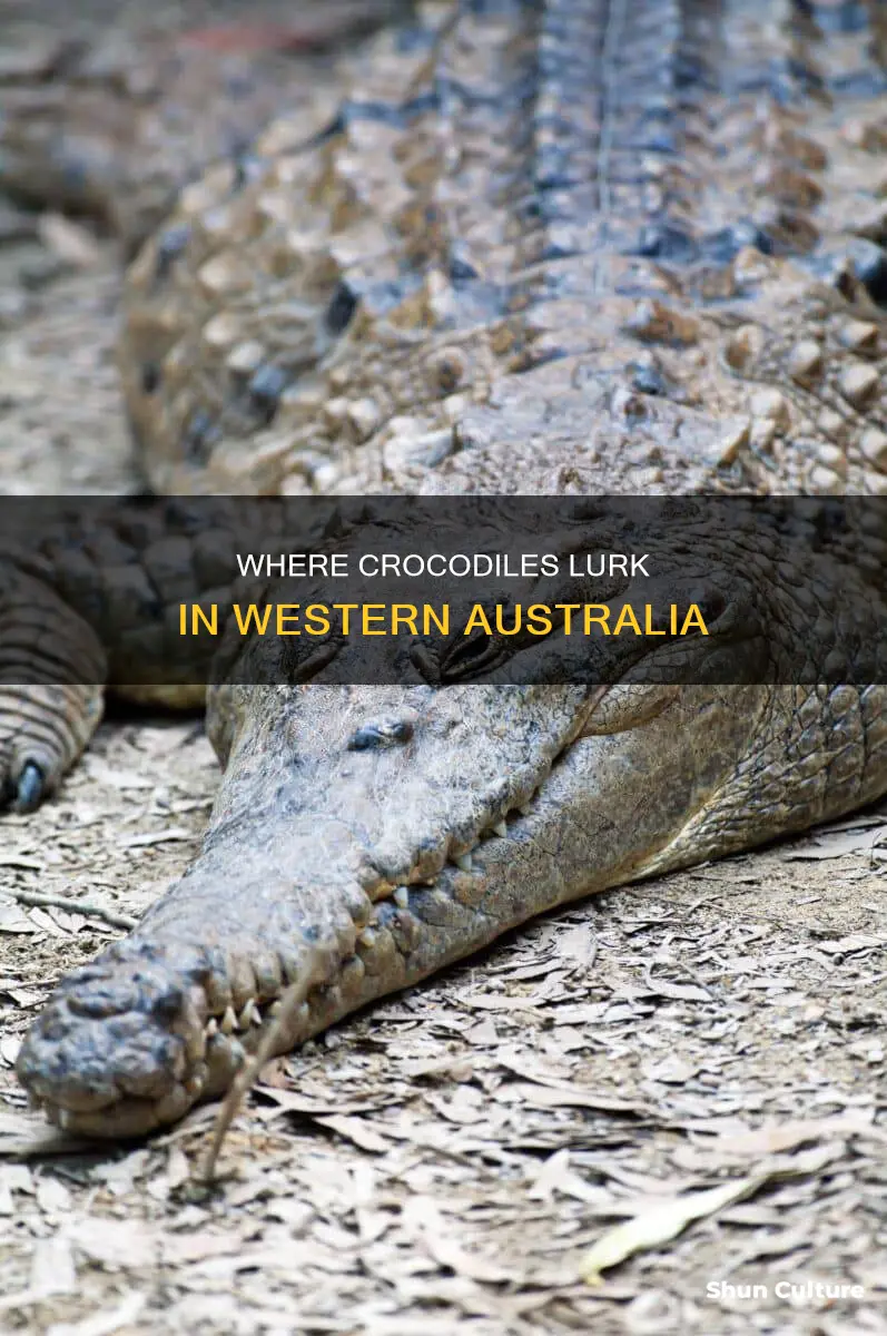 how far south are crocodiles in western australia