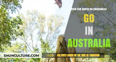 Exploring Australia's Southern Crocodile Boundaries: How Far Do They Roam?