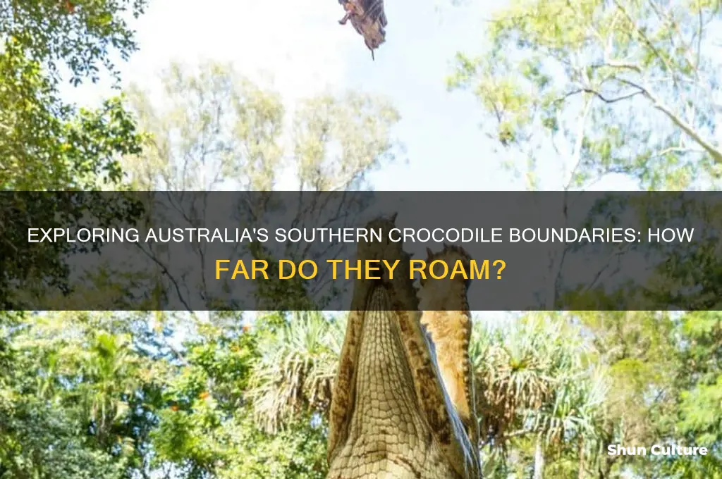 how far south do crocodiles go in australia
