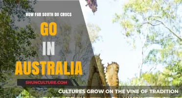 Exploring the Southern Limits of Australia's Crocodile Territory
