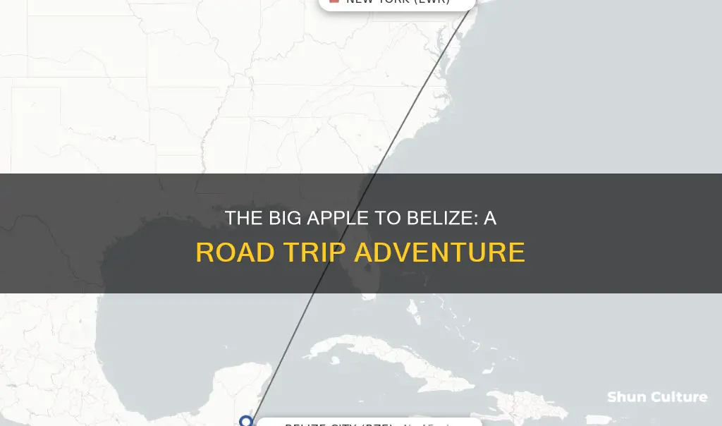 how far to drive frm ny to belize