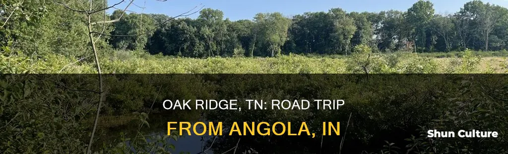 how far to oak ridge tennessee from angola indiana