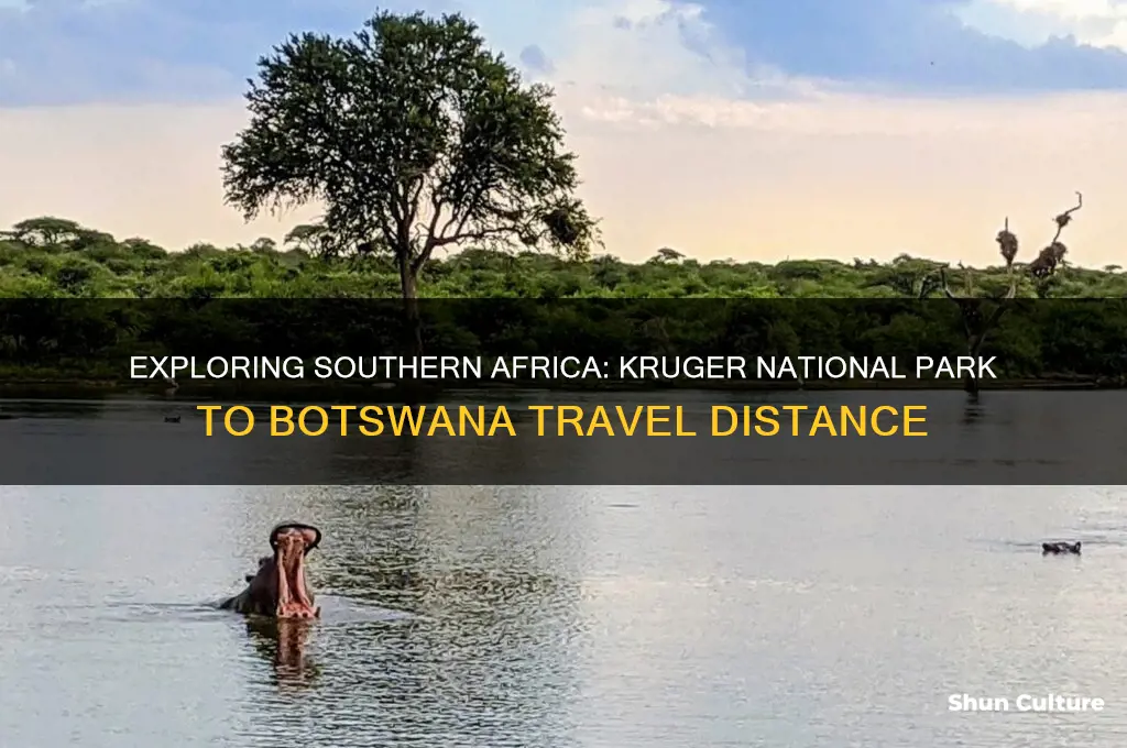 how far to travel from kruger national park to botswana