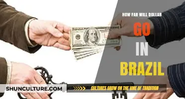Exploring the Dollar's Purchasing Power in Brazil: A Comprehensive Guide