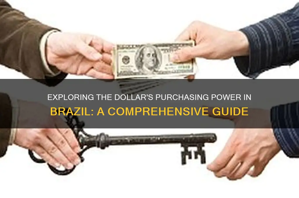 how far will dollar go in brazil