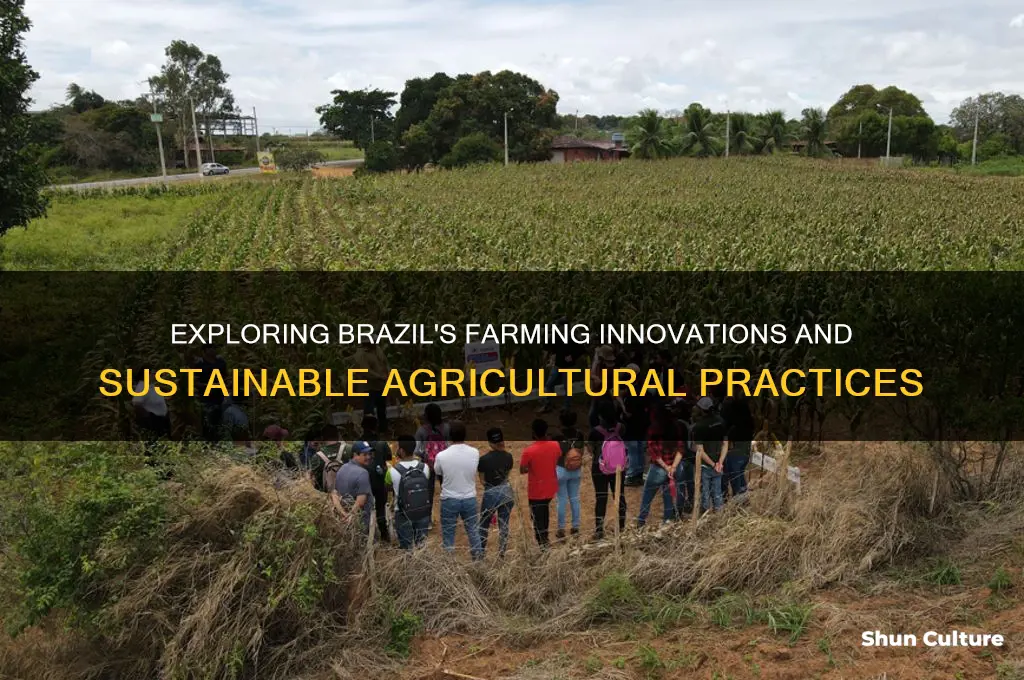 how farms un brazil
