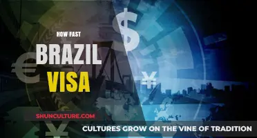 Quick Brazil Visa Processing: Tips for a Speedy Approval